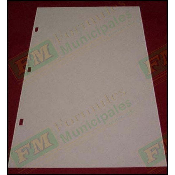Feuilles de minutes, en blanc, 250 pages (125 feuilles), 3 trous rectangulaires, FLA835/6614